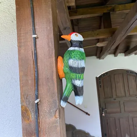 Yovkovata Kyshta 치플리크